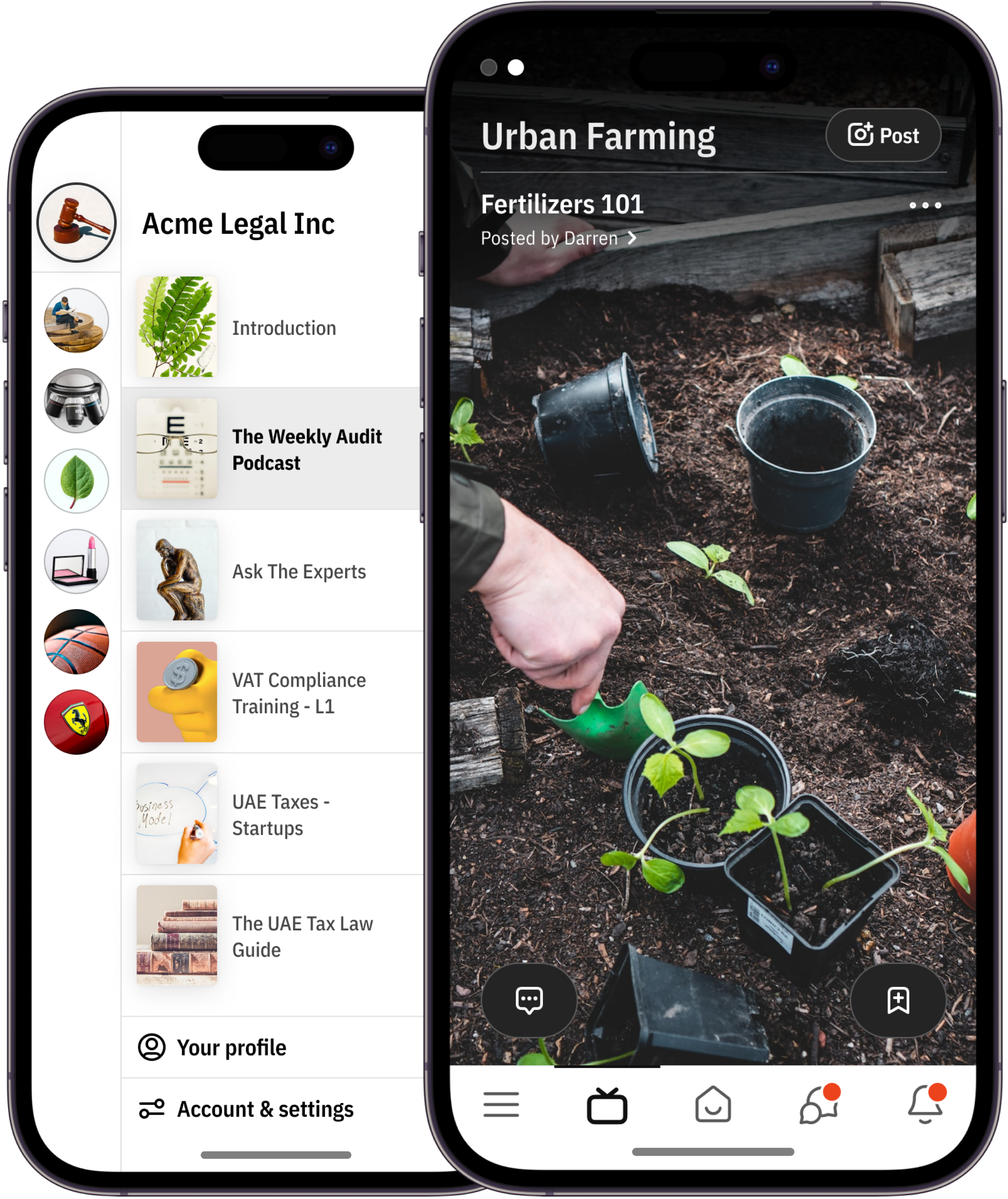 Mobile-first Feed & Discovery